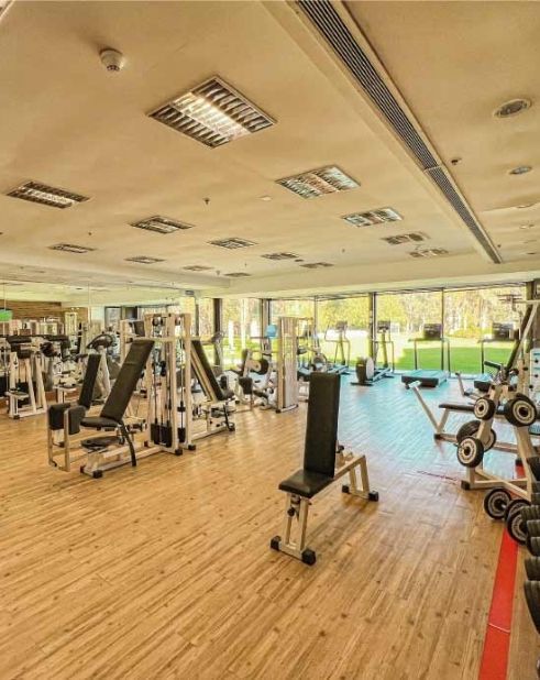 Gimnasio